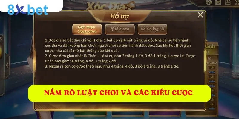 Xóc đĩa 8xbet - Sân chơi uy tín số 1, khuyến mãi khủng 5 Để chơi hiệu quả, bạn cần hiểu rõ về các loại cược